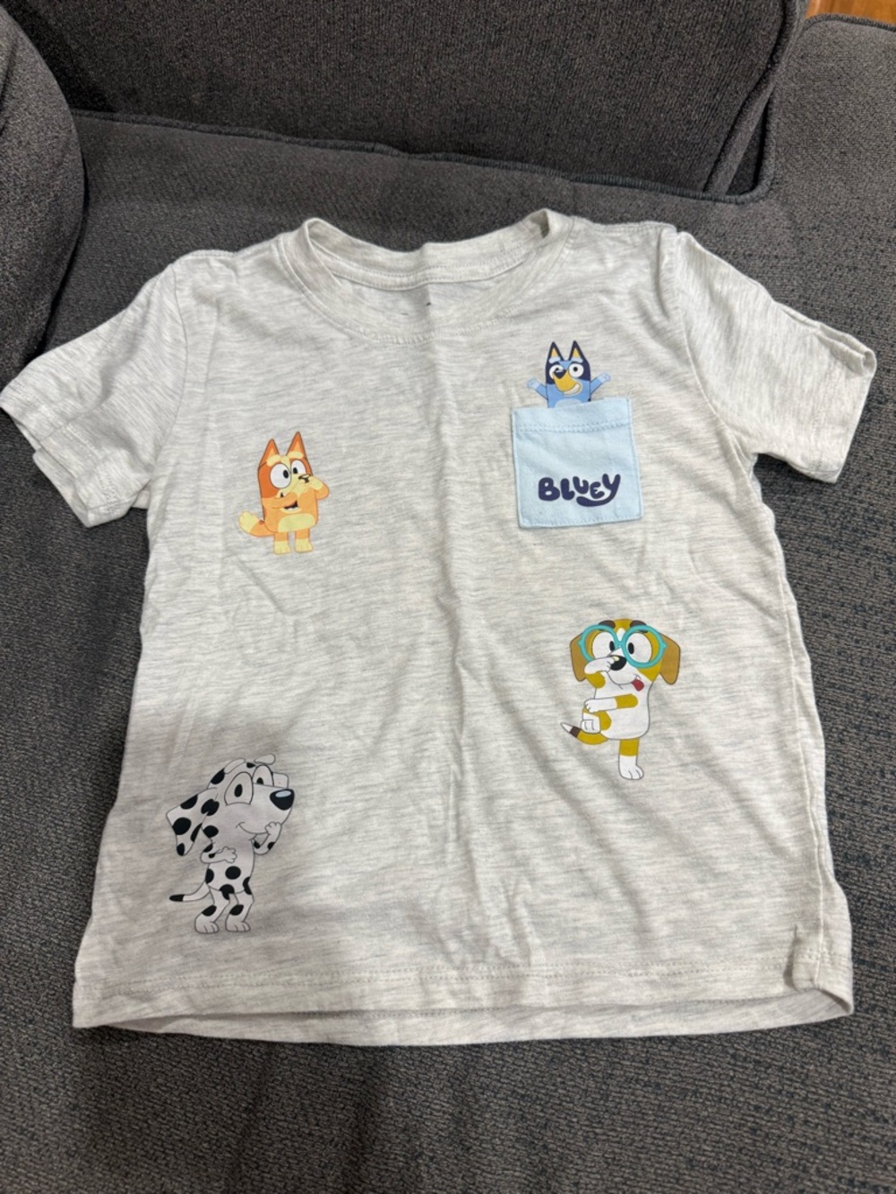 Bluey Light Gray Short Sleeve Pocket Tee for Kids
